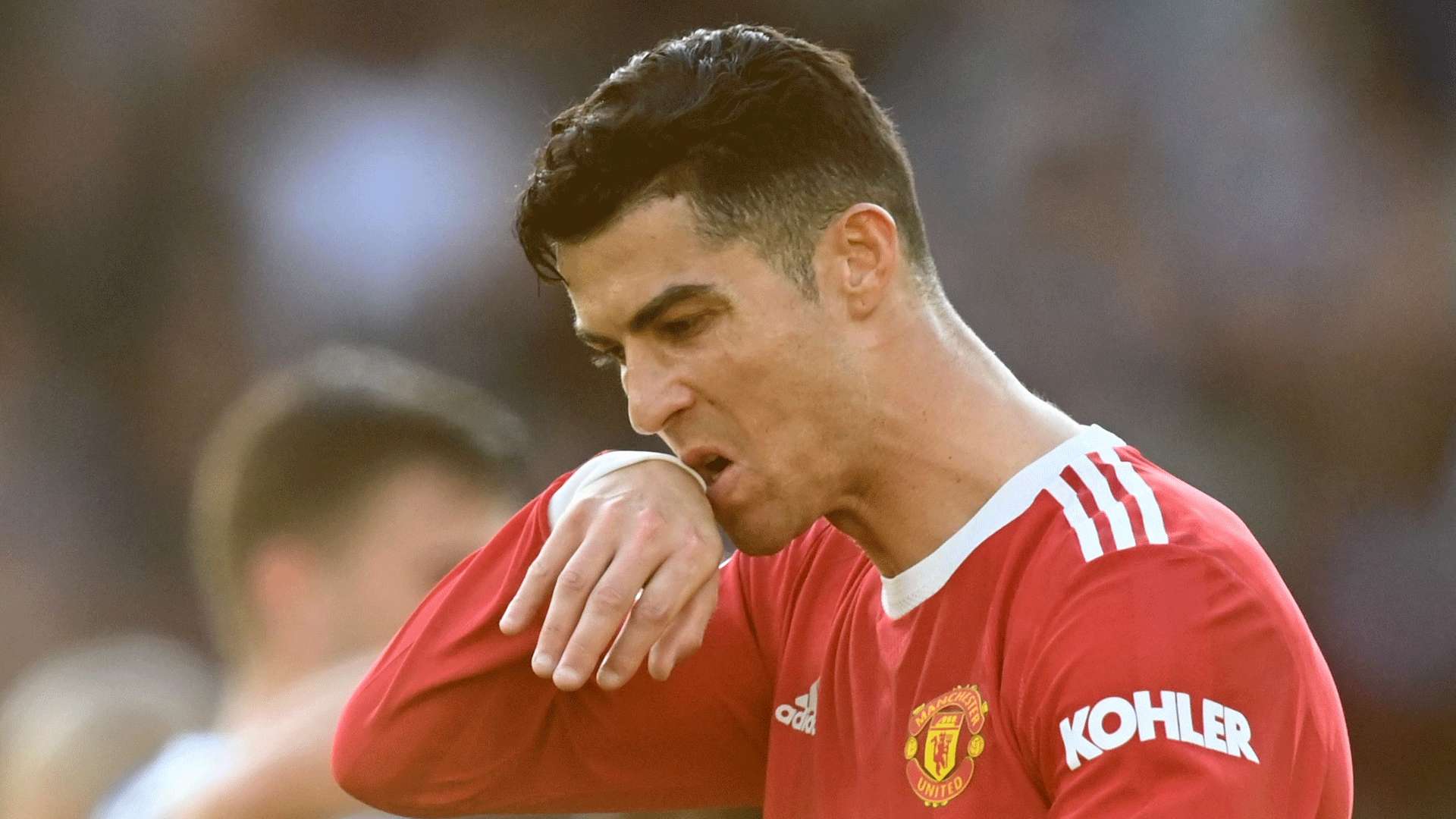 企业的积极 企业的积极