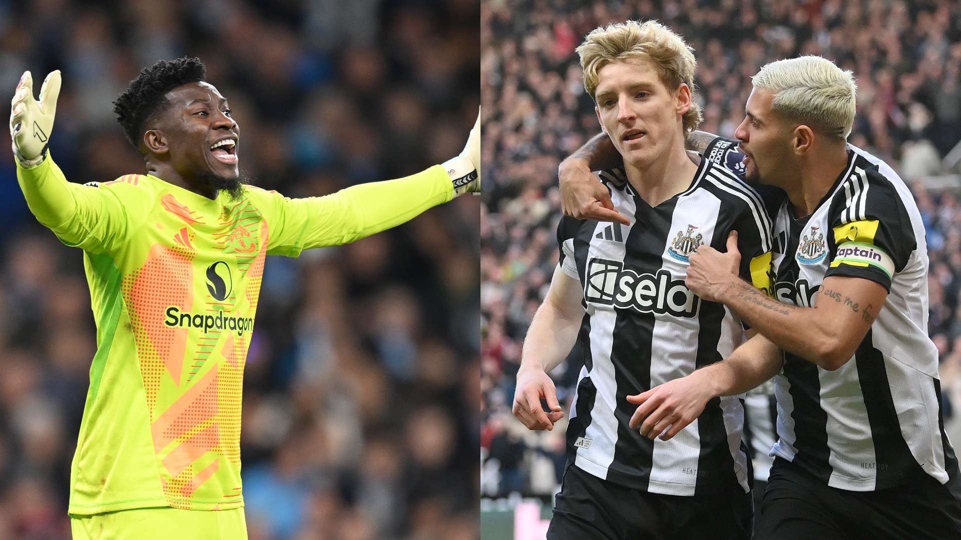 鲜明对比 鲜明对比